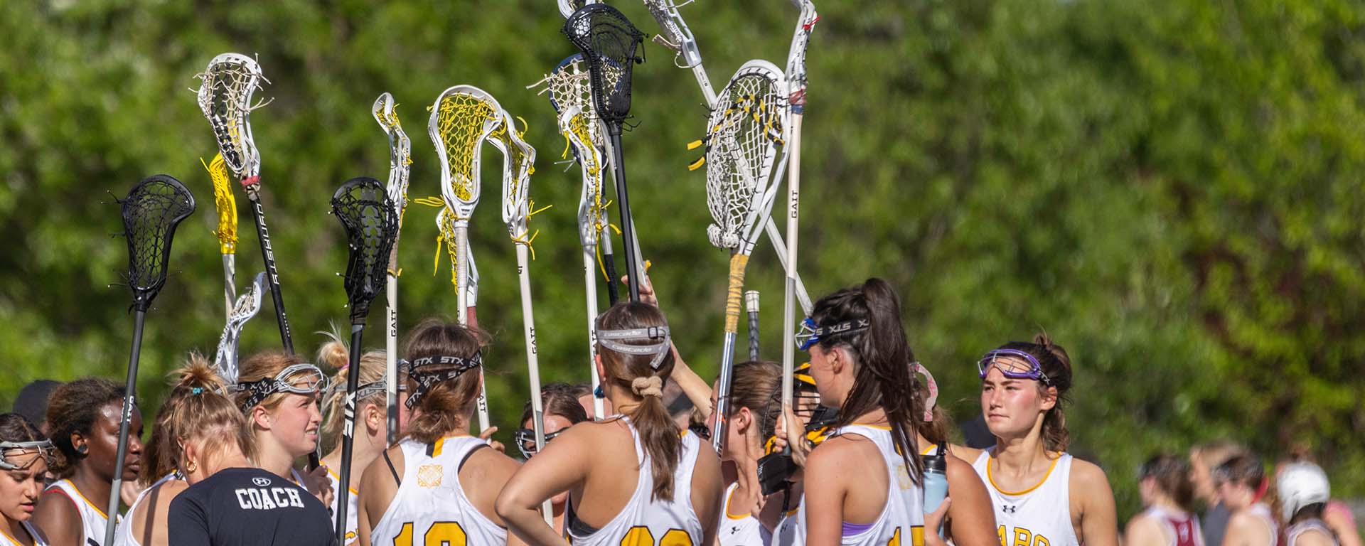 STA Lacrosse